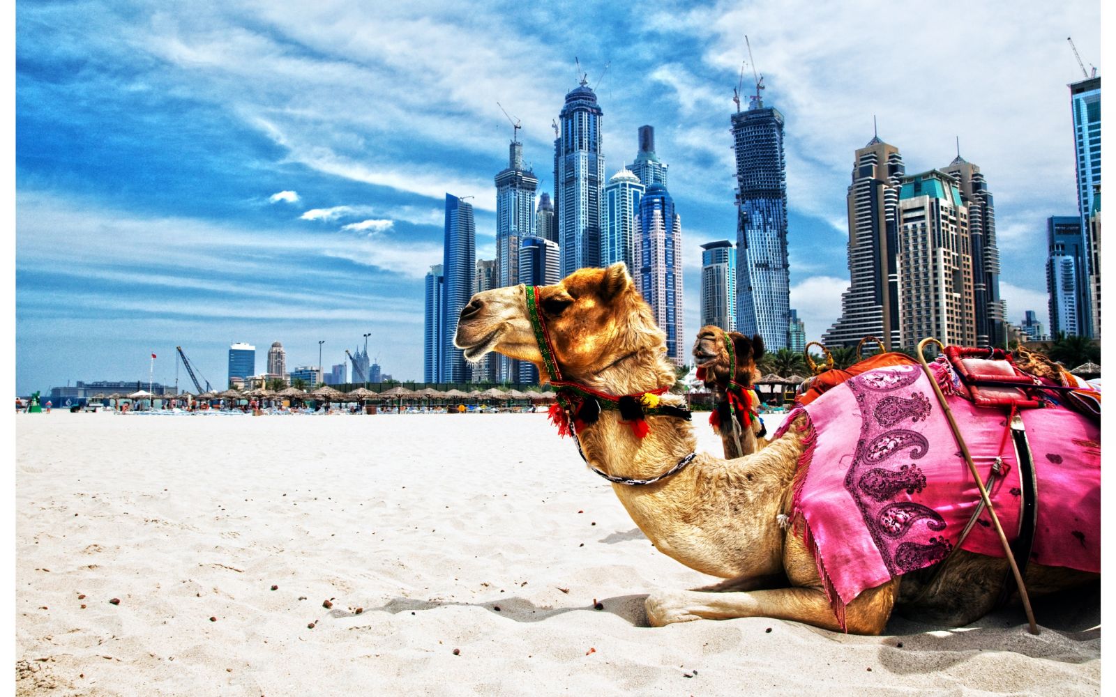4 điều cần lưu ý khi du lịch đến Dubai