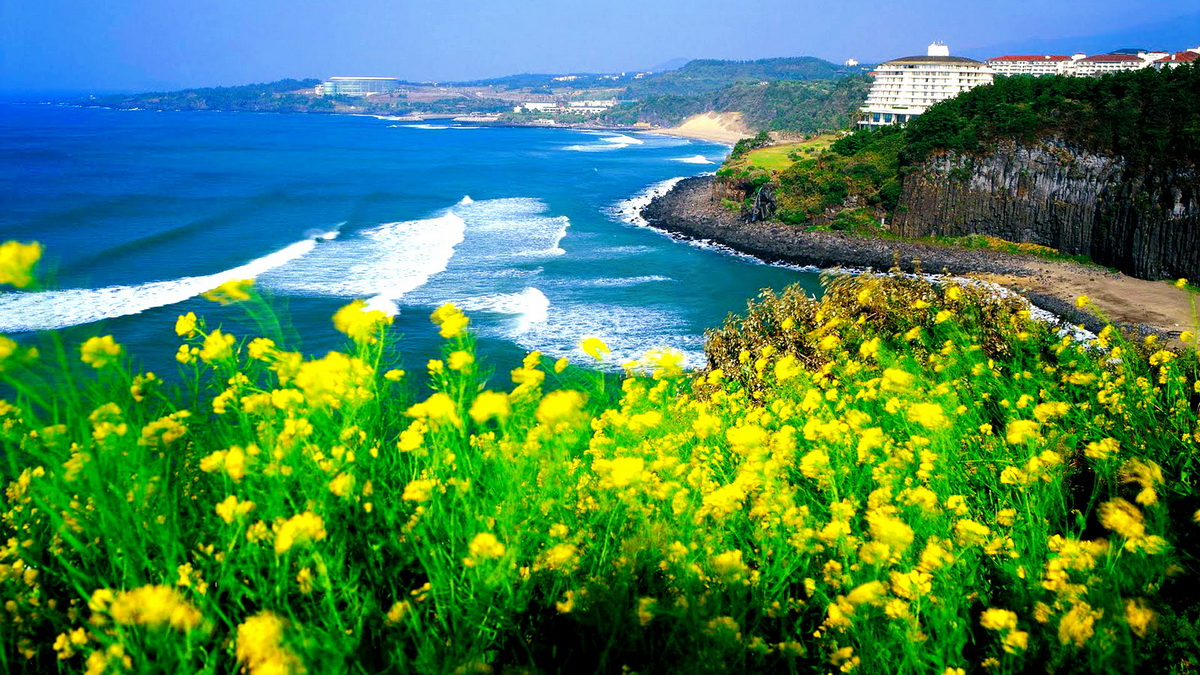 Khám phá vẻ đẹp mơ màng của đảo Jeju - Hàn Quốc