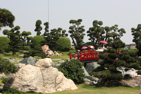 Khám phá công viên Cá Koi