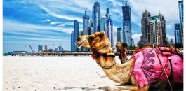 4 điều cần lưu ý khi du lịch đến Dubai