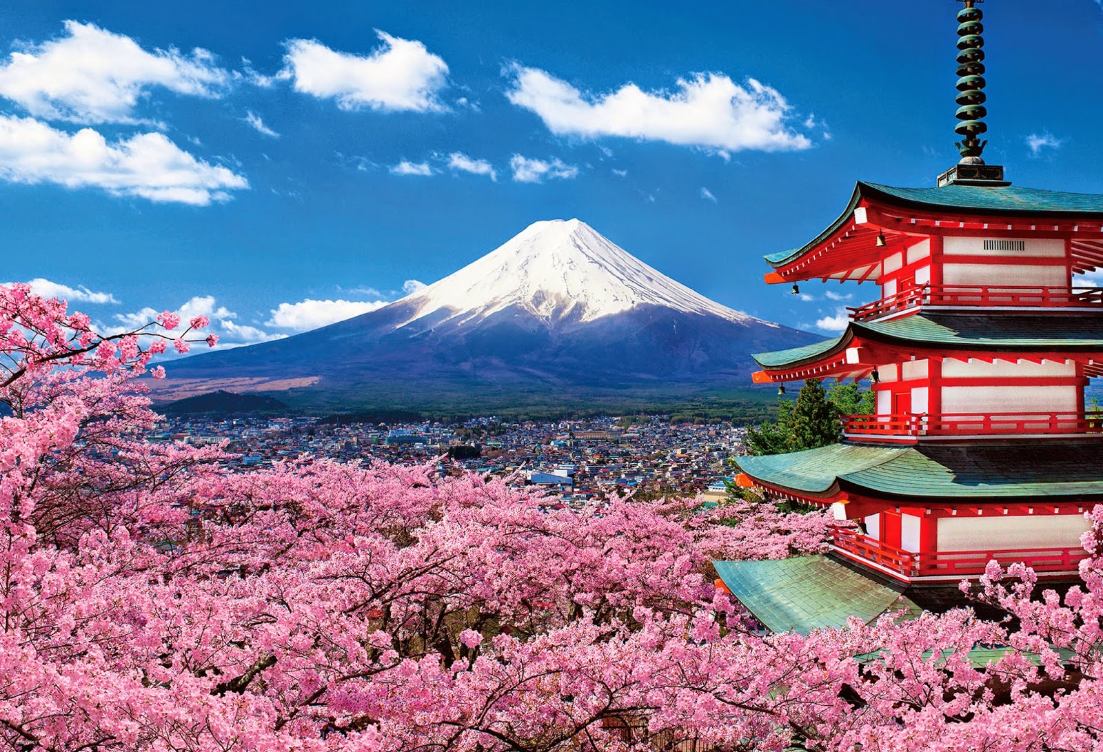 5 ngày 4 đêm vi vu Nhật Bản – Vẻ đẹp từ truyền thống đến hiện đại