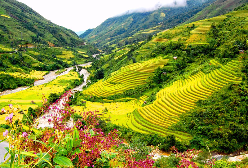 5 địa điểm du lịch thu hút khách Tây ở Việt Nam