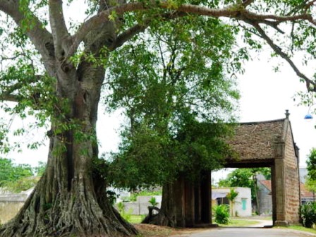 Làng cổ Đường Lâm đậm chất thời xưa của quê hương Việt Nam
